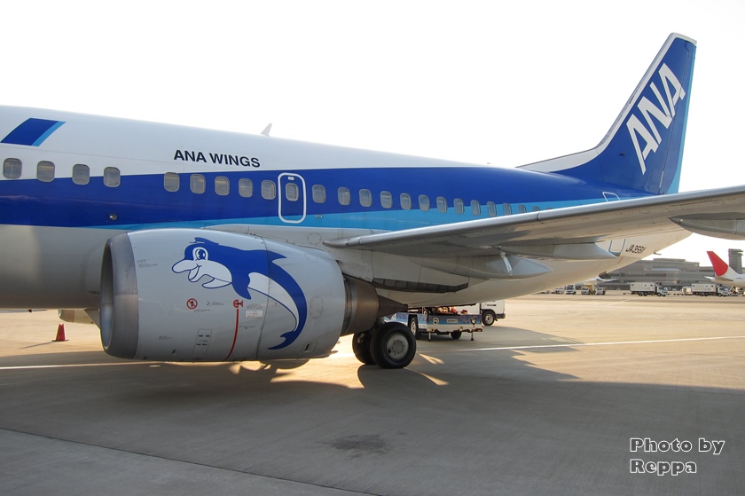 ANA 737-500「スーパードルフィン」で女満別から名古屋へ【冬の北海道