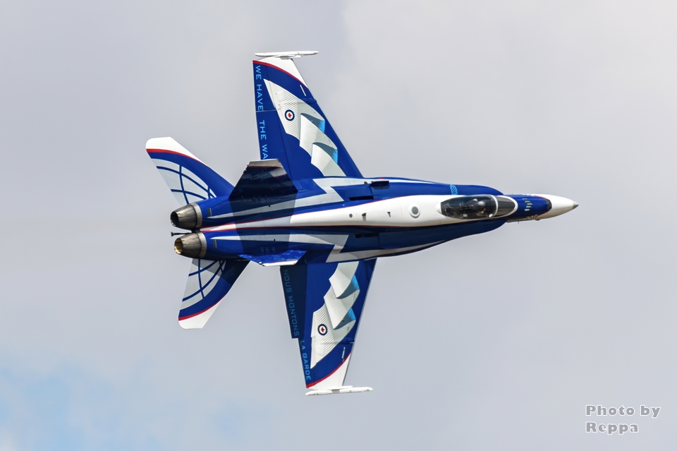 おトク】 廃盤 ビデオ 1987年 パリ 航空ショー ブルーエンジェルス ザ