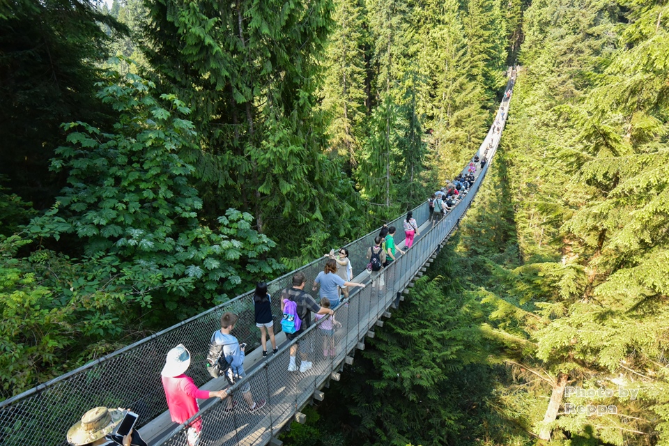 【カナダ】バンクーバー旅行記（7）キャピラノ吊り橋 / Capilano Suspension Bridge，シーフードレストラン