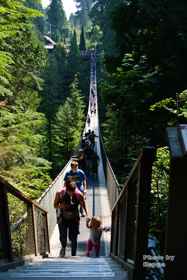 【カナダ】バンクーバー旅行記（7）キャピラノ吊り橋 / Capilano Suspension Bridge，シーフードレストラン