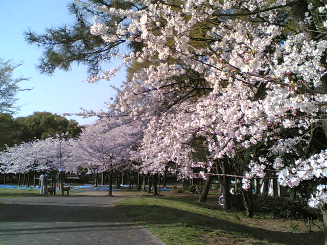 f:id:Reppuu02:20050409072925j:image:w480