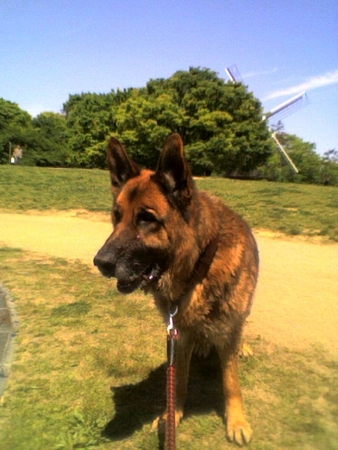 f:id:Reppuu02:20060503100645j:image