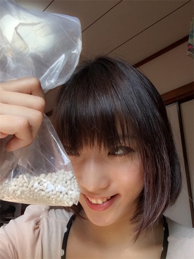 f:id:ReptileNaNa:20160420150252j:image f:id:ReptileNaNa:20160420150252j:image