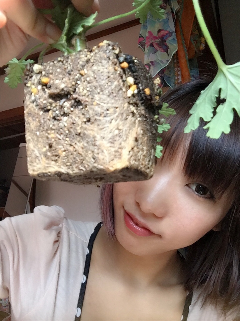 f:id:ReptileNaNa:20160420150547j:image f:id:ReptileNaNa:20160420150547j:image