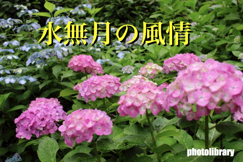 f:id:RetCapt1501:20200607190435j:plain f:id:RetCapt1501:20200607190435j:plain