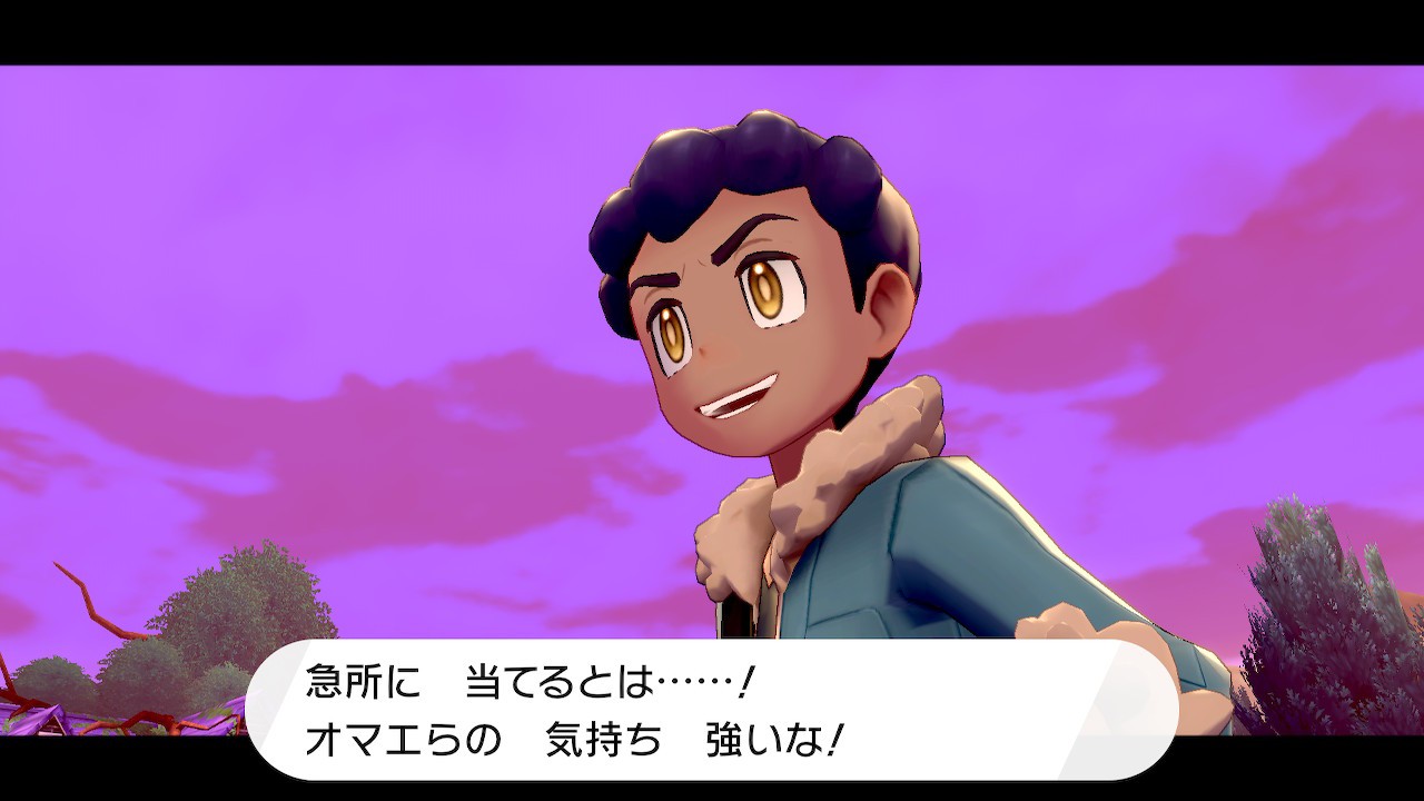 ポケモン剣盾 とにかく褒めてくれるホップくんの褒め言葉全集 レウンの ゲームのきおく