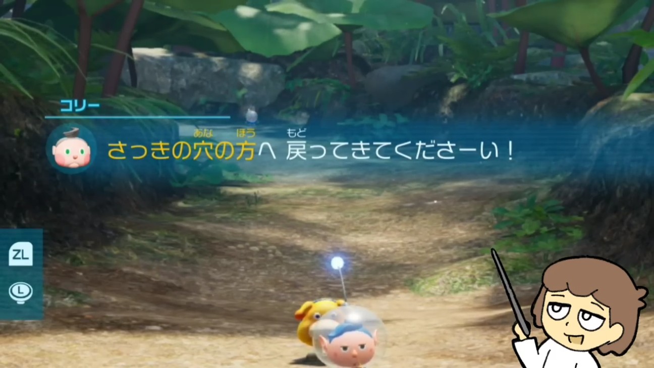 Pikmin 4 Nintendo Switch HAC-P-AMPYA（ピクミン4