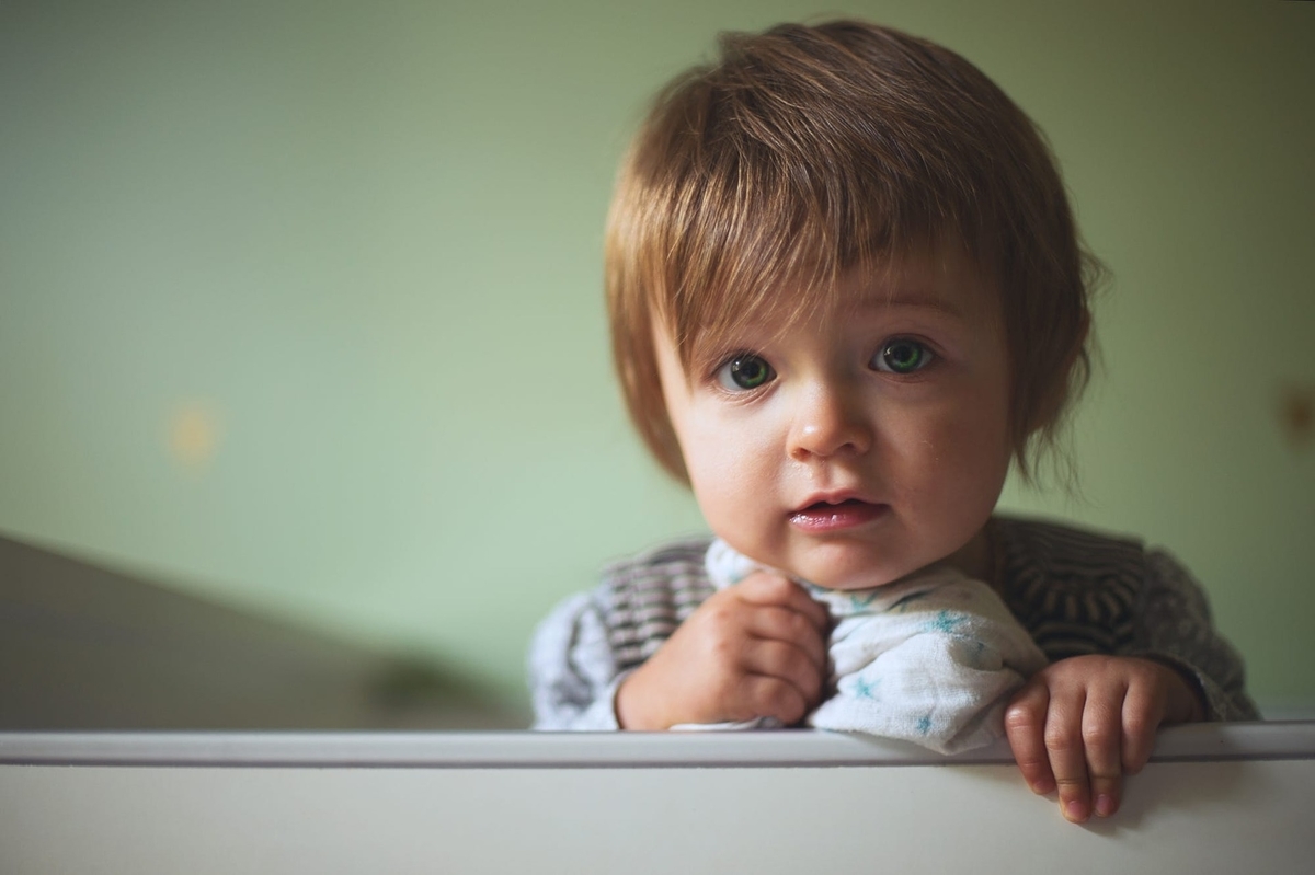 子供の教育費のまとめ