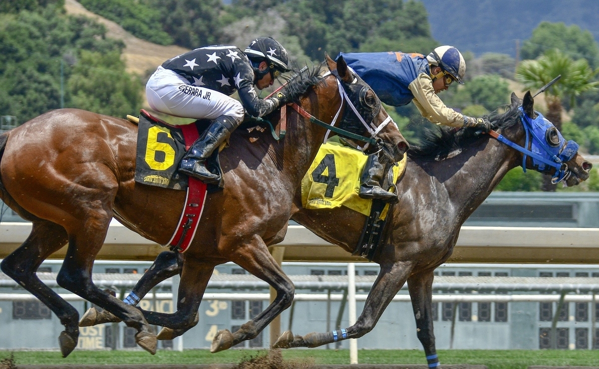 ギャンブル：公営のギャンブル（競馬、競輪、サッカーくじなど）