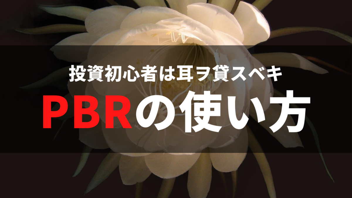 PBRで投資をしよう！　知らなくても何とかなるけど・・