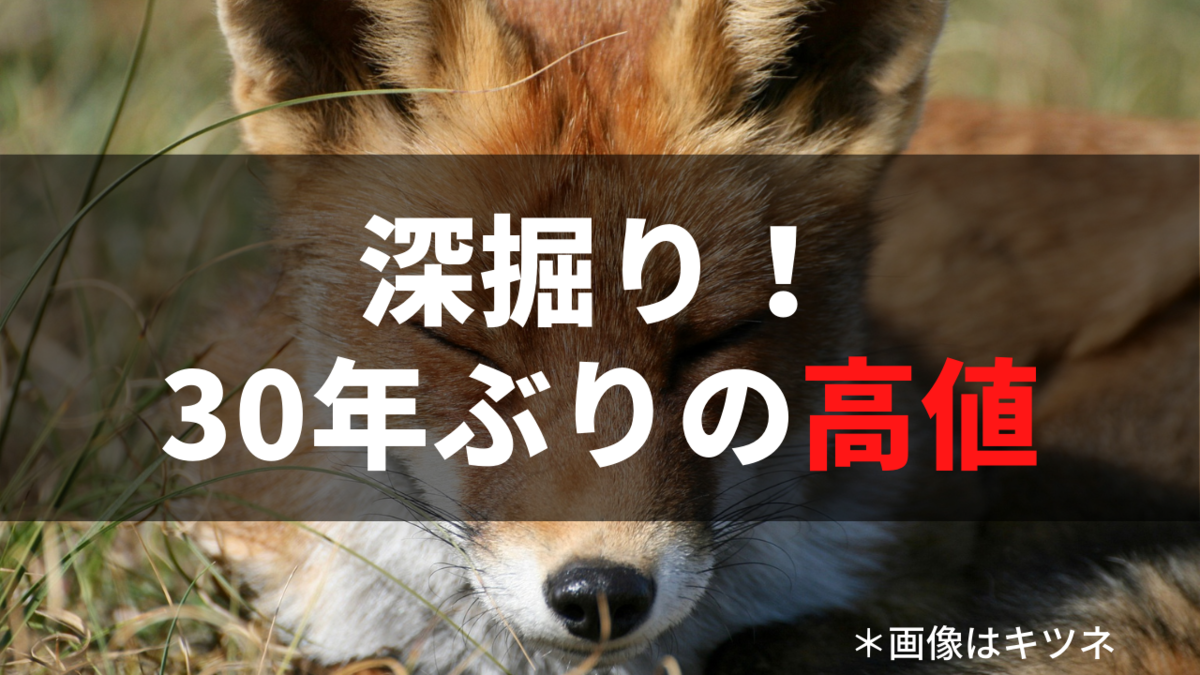 株価が30年ぶりの高値みたいなので深掘り