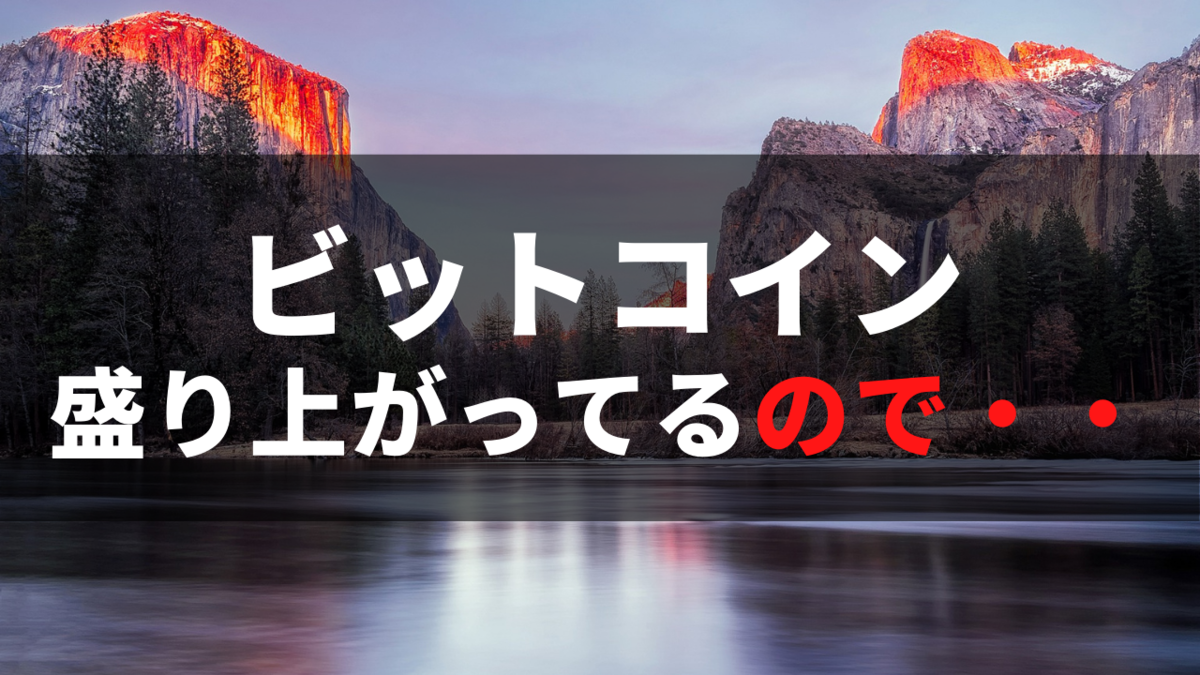 ビットコイン盛り上がってるけど　儲かるの？