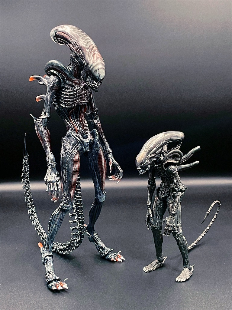 NECA エイリアン ロムルス スコーチド ゼノモーフを紹介するよ