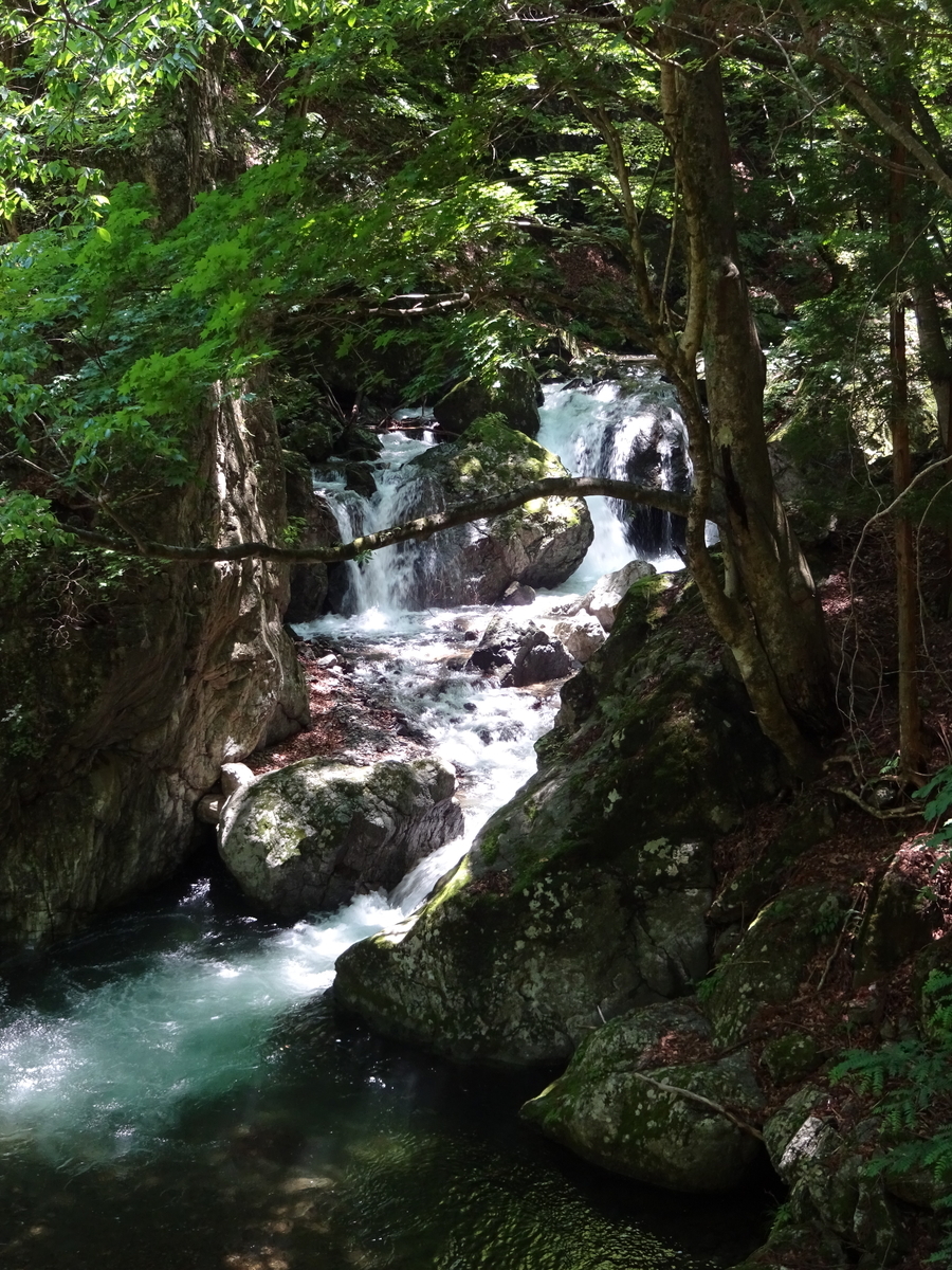 f:id:Rgrey:20190614110117j:plain f:id:Rgrey:20190614110117j:plain