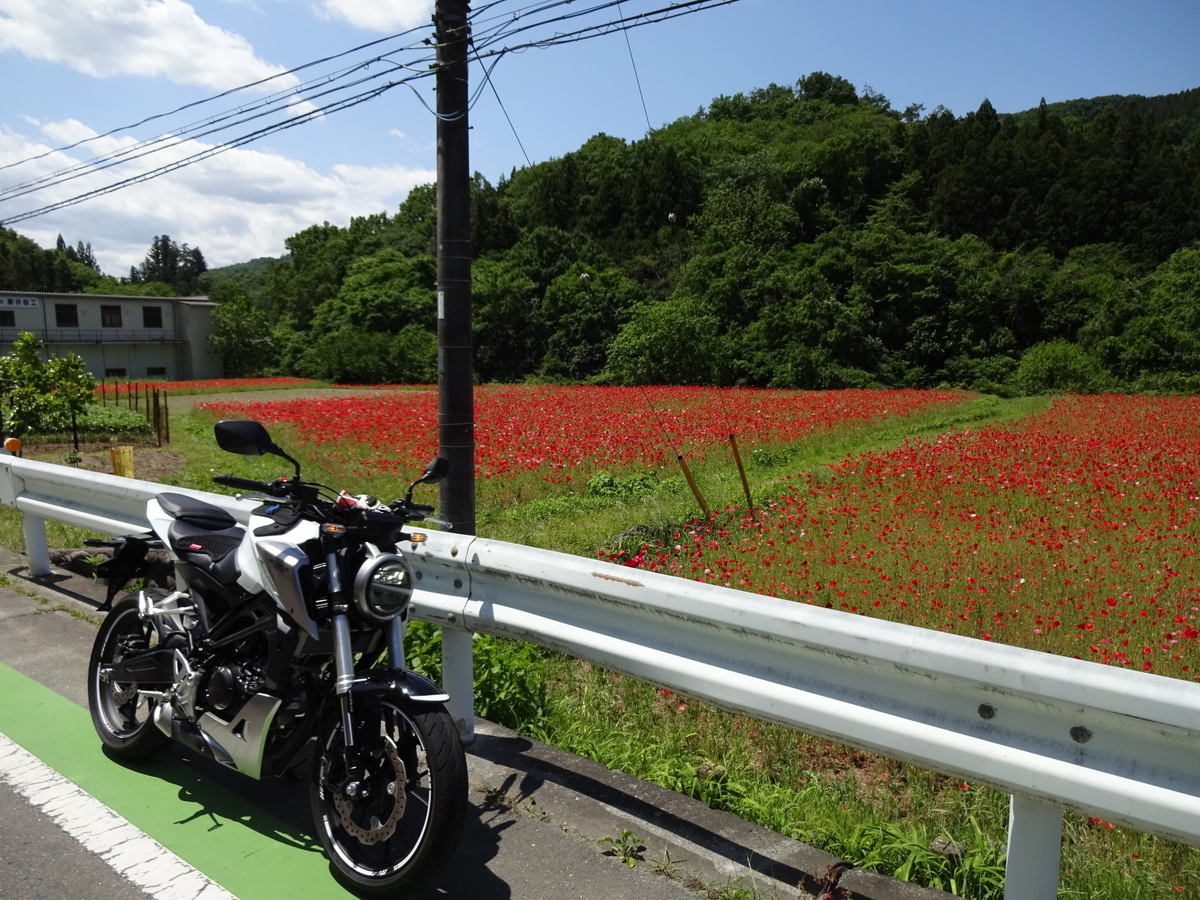 Cb125r 1万kmレビュー 北關東單車旅行會