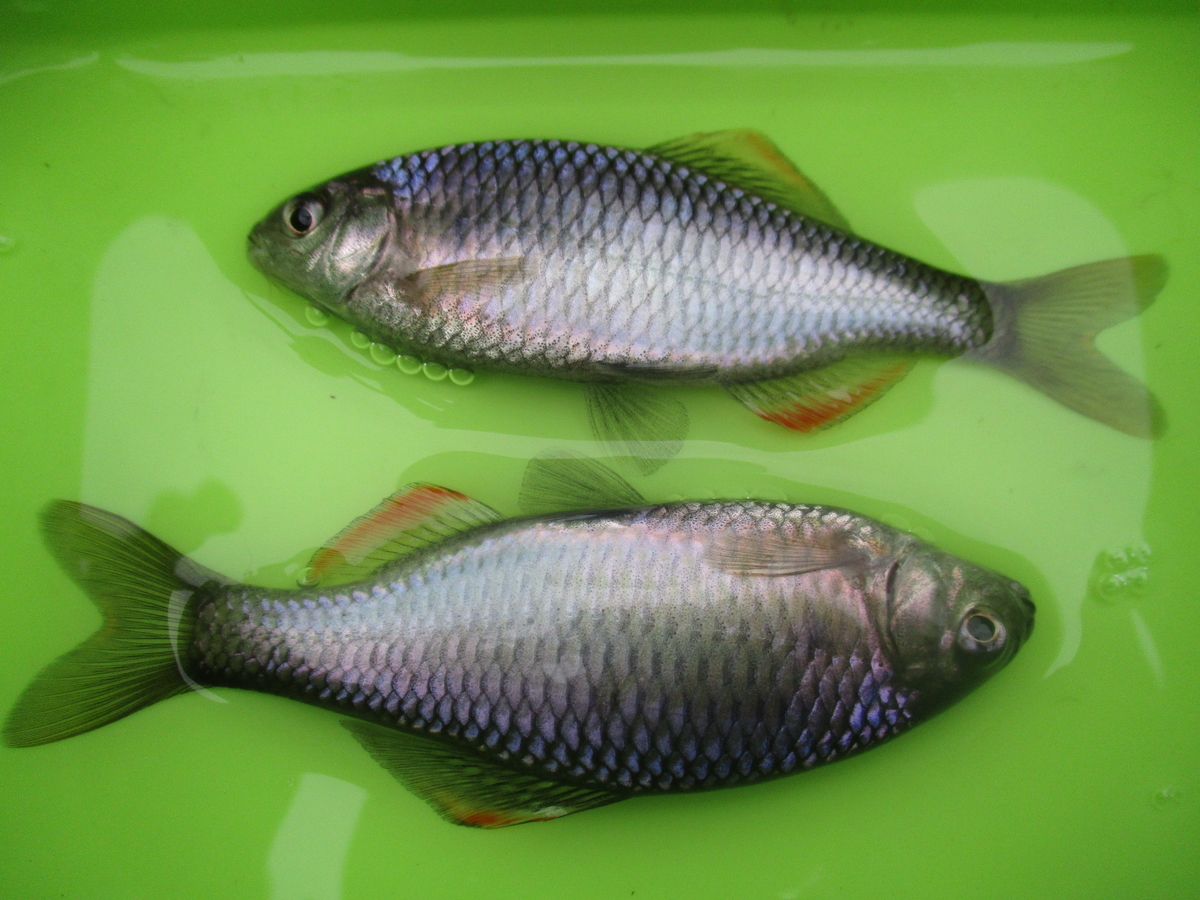 春は引越しの季節 晴れの都