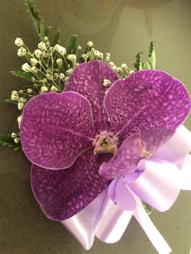 f:id:Ri-Bo:20190228224644j:image