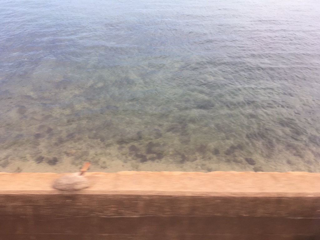 f:id:Ri2chang:20201004221142j:plain f:id:Ri2chang:20201004221142j:plain
