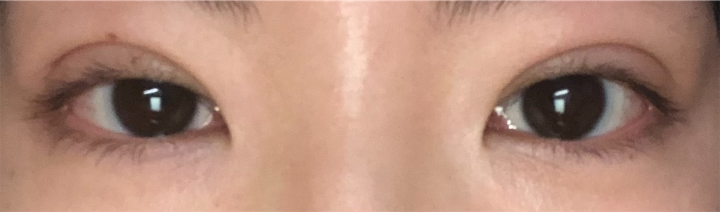 f:id:Ri9Gr:20220126144601j:image