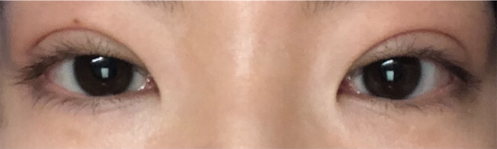 f:id:Ri9Gr:20220126144630j:image