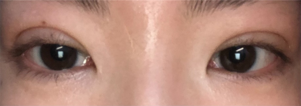 f:id:Ri9Gr:20220127205043j:image