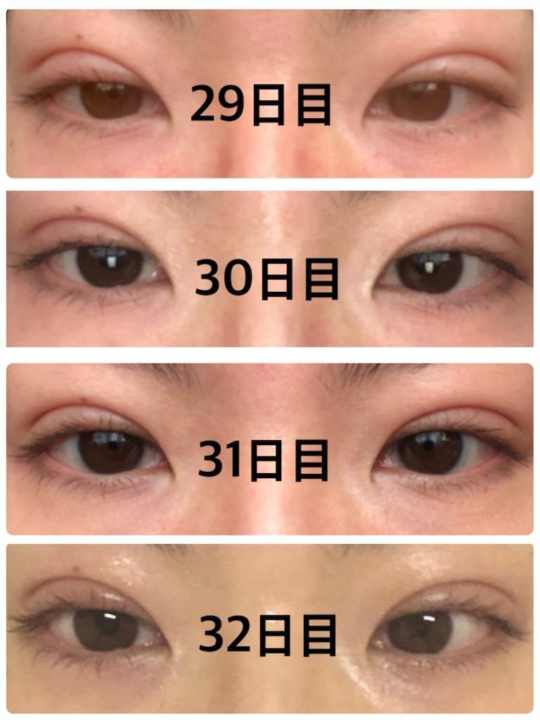 f:id:Ri9Gr:20220208232819j:image