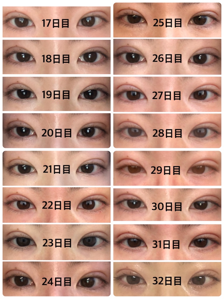 f:id:Ri9Gr:20220208233321j:image