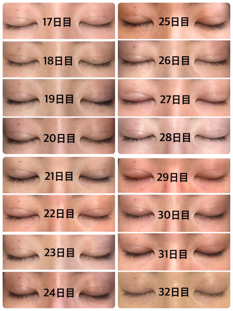 f:id:Ri9Gr:20220208233344j:image