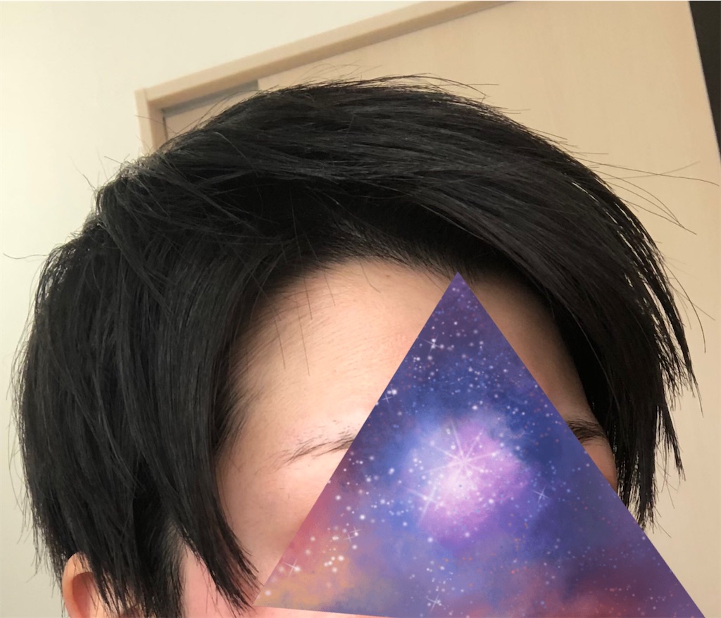 f:id:Ri9Gr:20220215202502j:image