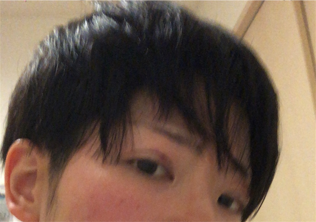 f:id:Ri9Gr:20220215202532j:image