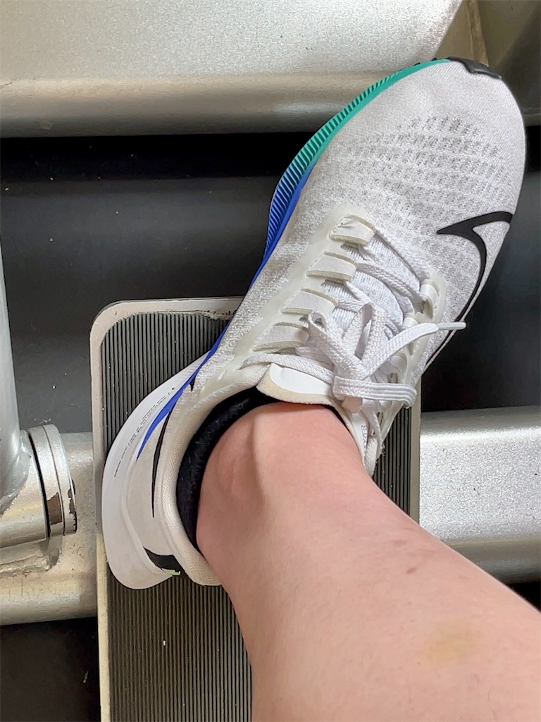 f:id:Ri9Gr:20220709232007j:image