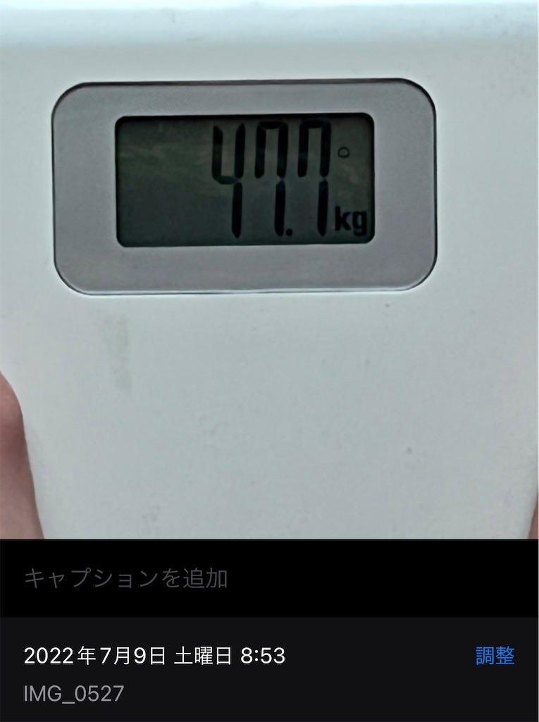 f:id:Ri9Gr:20220710000812j:image