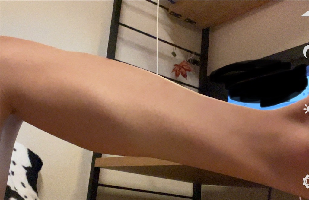 f:id:Ri9Gr:20221127205831j:image