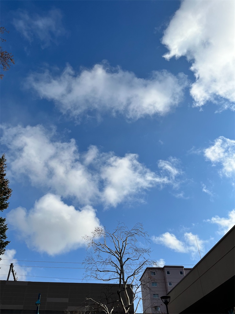 f:id:Ri9Gr:20221127205938j:image