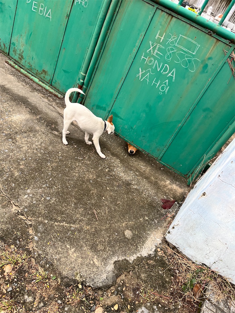 f:id:Ri9Gr:20230128190151j:image