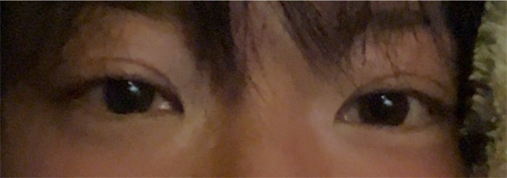 f:id:Ri9Gr:20230305132943j:image f:id:Ri9Gr:20230305132943j:image