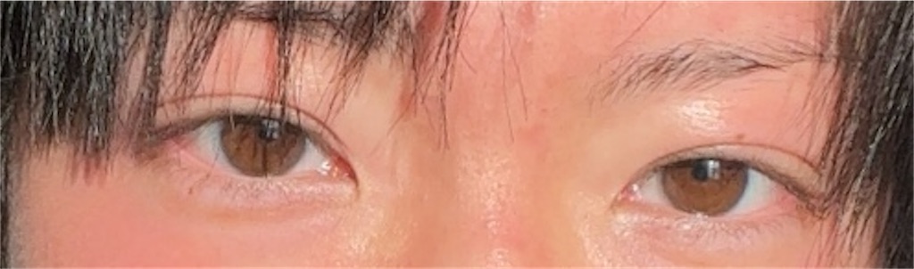 f:id:Ri9Gr:20230305142726j:image f:id:Ri9Gr:20230305142726j:image