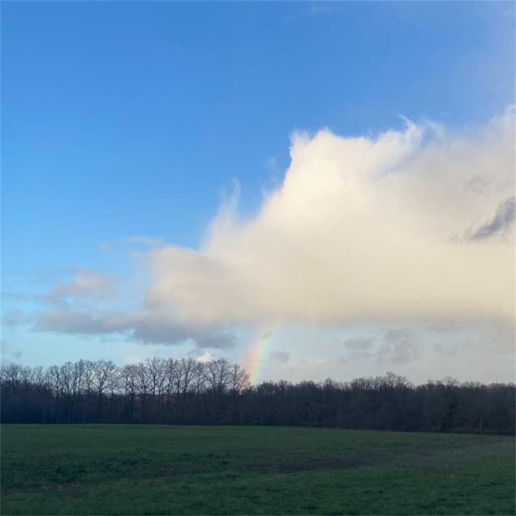 f:id:Ribboninthesky:20240405011631j:image