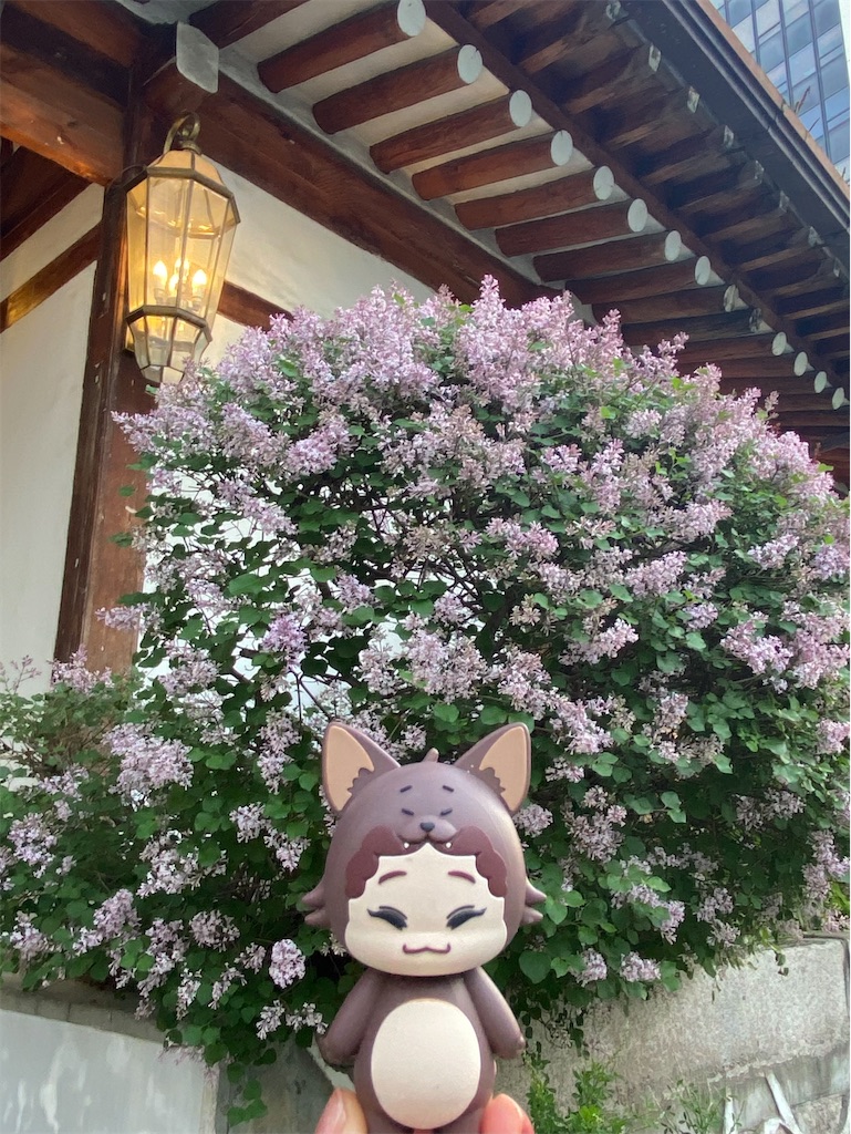 f:id:Ribboninthesky:20240430170501j:image f:id:Ribboninthesky:20240430170501j:image
