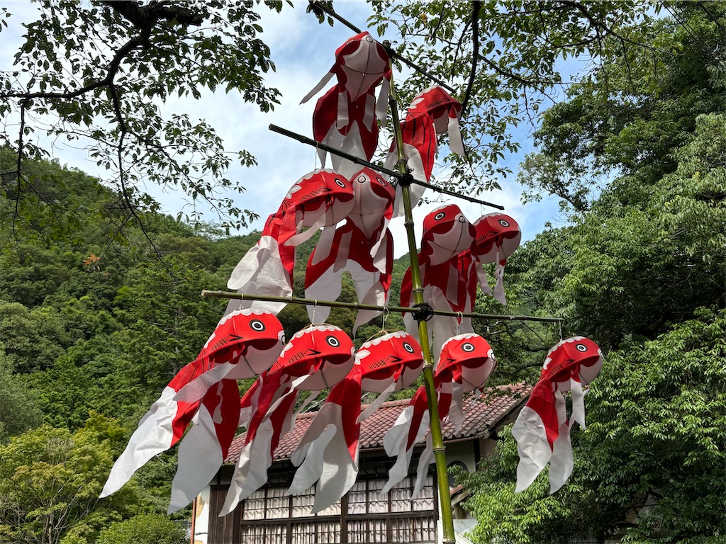 f:id:Ribboninthesky:20240731203634j:image