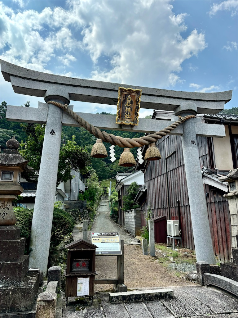 f:id:Ribboninthesky:20241001010119j:image