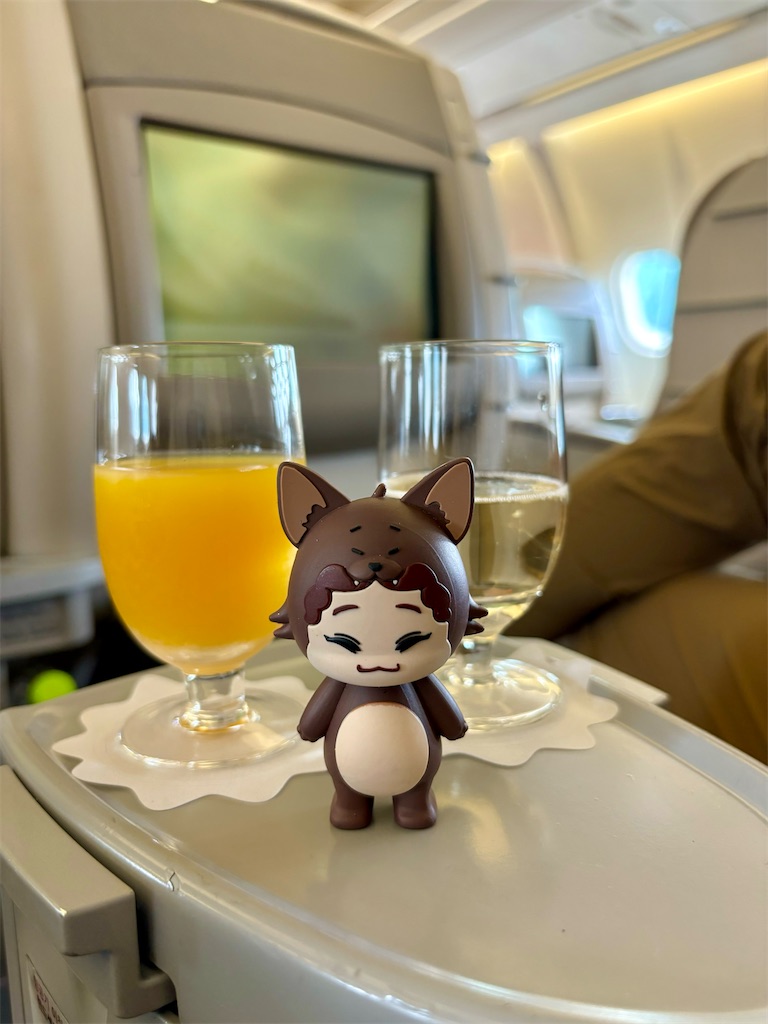 f:id:Ribboninthesky:20241207003336j:image 大阪〜タシケント ビジネスクラス搭乗記