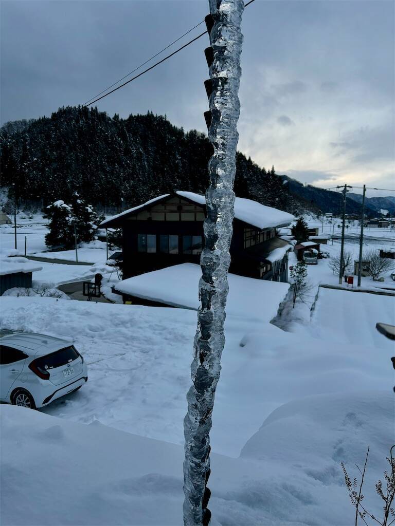 f:id:Ribboninthesky:20250312154229j:image f:id:Ribboninthesky:20250312154229j:image