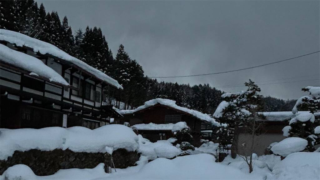 f:id:Ribboninthesky:20250312154616j:image