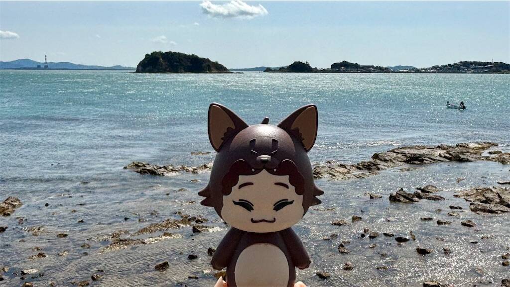 日間賀島の海