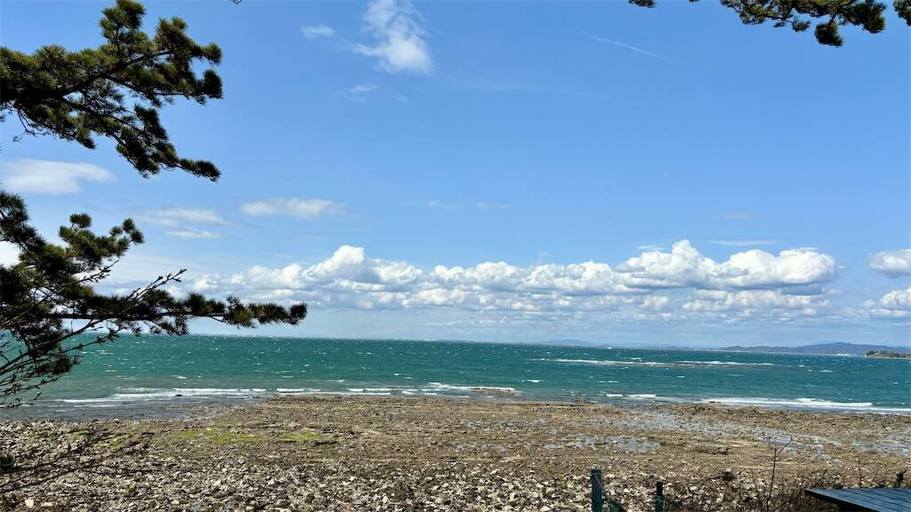 日間賀島の海