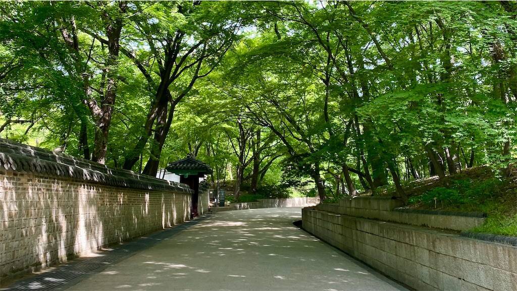 朝の昌徳宮
