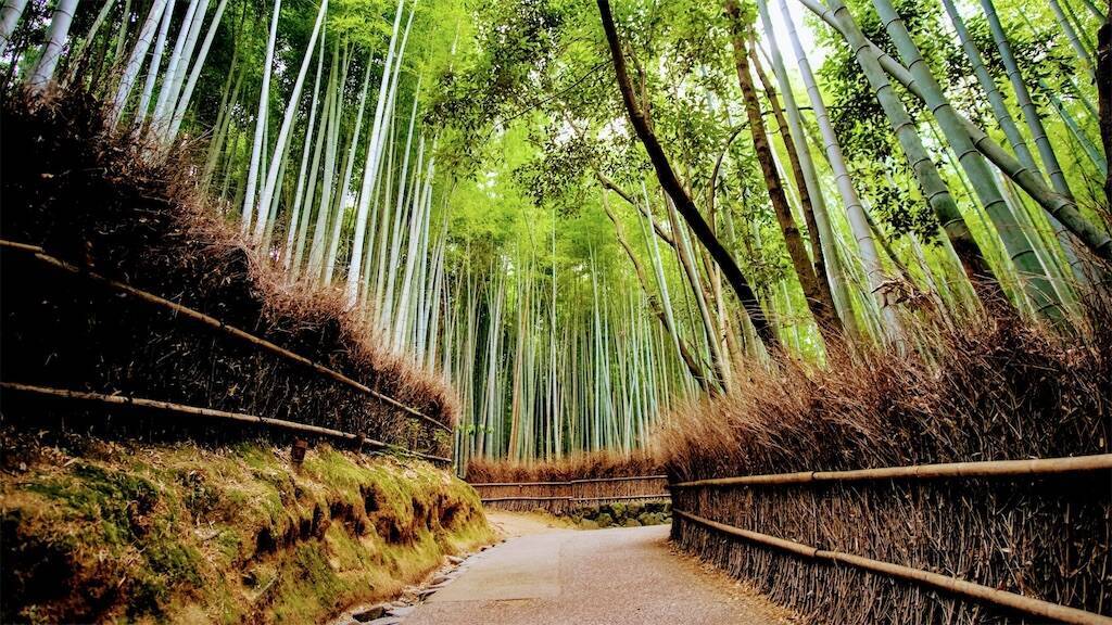 嵐山の景色