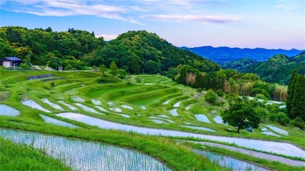大山千枚田