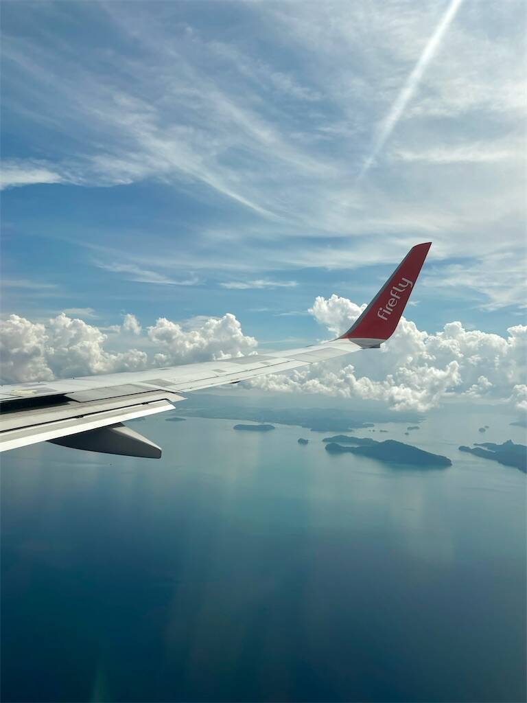 Fireflyの飛行機